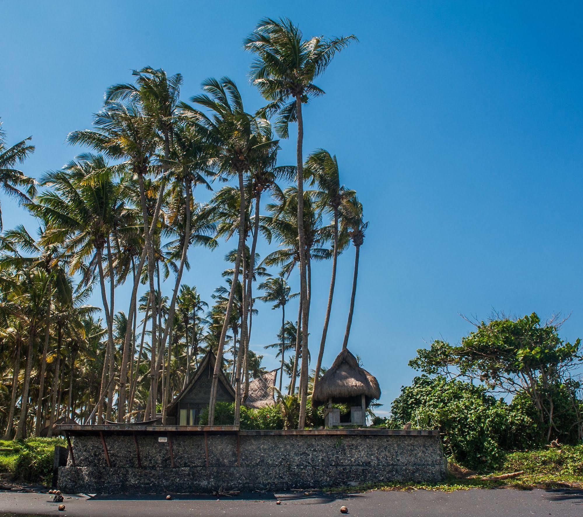 Most Exotic Beachfront Villa Keong Selemadeg Buitenkant foto