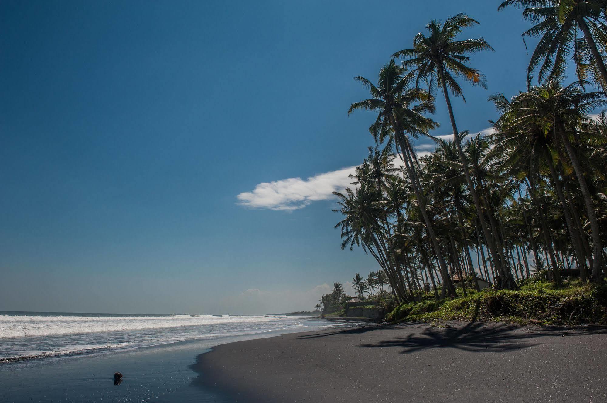 Most Exotic Beachfront Villa Keong Selemadeg Buitenkant foto